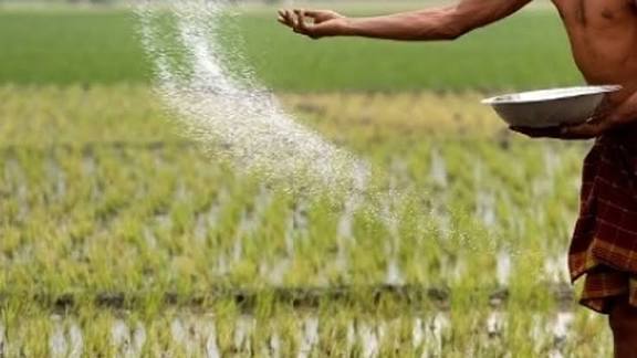 விவசாயம் அல்லாத தேவைகளுக்கு உரங்களை விற்றால் நடவடிக்கை: அதிகாரிகள் எச்சரிக்கை