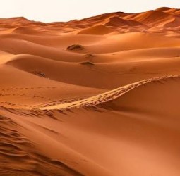 பாலையின் ஏக்கம்