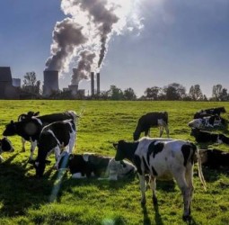 புதிய உச்சத்தில் உலக கார்பன் உமிழ்வு