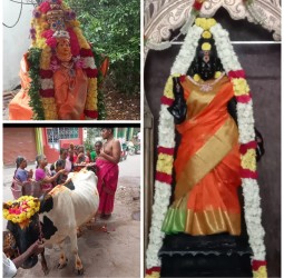 கார்த்திகை சோமவாரம் சிறப்பு வழிபாடு....