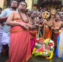 ஸ்ரீ அபயாம்பிகை உடனாய ஸ்ரீ மயூரநாத சுவாமி திருக்கோயில் துலா உற்சவப் பெருவிழா