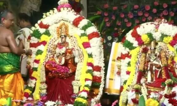 நெல்லையப்பர் கோவிலில் ஐப்பசி திருக்கல்யாண திருவிழா: திரளான பக்தர்கள் தரிசனம்