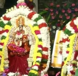 நெல்லையப்பர் கோவிலில் ஐப்பசி திருக்கல்யாண திருவிழா: திரளான பக்தர்கள் தரிசனம்