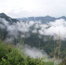 3 நாட்கள் 3 மாநிலங்கள்... மினிமம் பட்ஜெட்டில்... வயநாடு, ஊட்டி, பந்திப்பூர்! - கூடலூரின் இந்த பிளான் தெரியுமா?