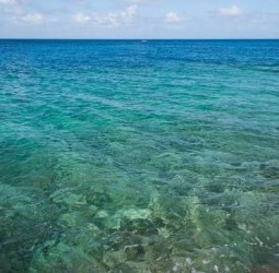 கடல் நீர்