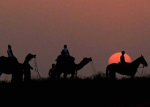 ஒத்திகை