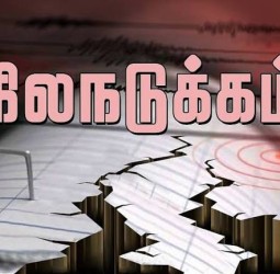 ஆப்கானிஸ்தானில் நிலநடுக்கம் ரிக்டர் அளவில் 4.6 ஆகப் பதிவு
