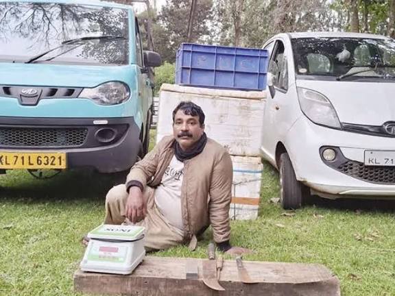 காட்டெருமையை வேட்டையாட முயற்சி; கைது