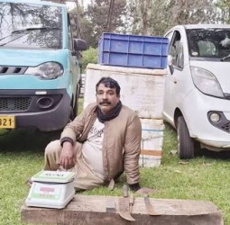 காட்டெருமையை வேட்டையாட முயற்சி; கைது