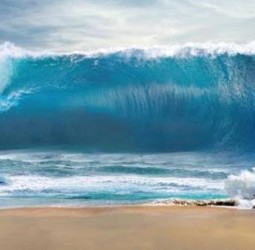 சுனாமி விழிப்புணர்வு