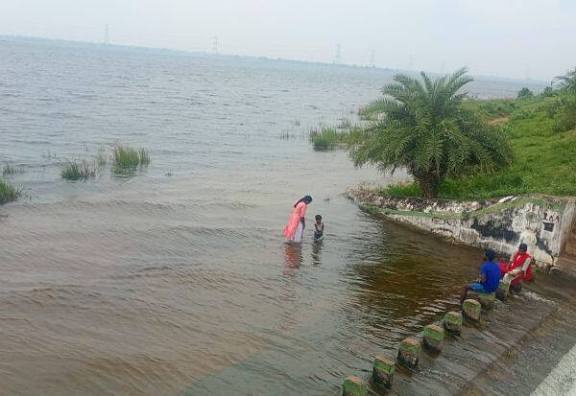 பசுமாட்டை மீட்க முயன்ற மூதாட்டி பாலாற்றில் மூழ்கி பலி