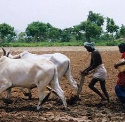 உழவுத் தொழில்