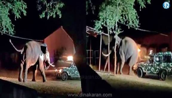 மேட்டுப்பாளையத்தில் வனத்துறை ஜீப்பை தாக்க முயன்ற ‘பாகுபலி’ யானையால் பரபரப்பு: வனக்கல்லூரி கேட்டை உடைத்து புகுந்தது