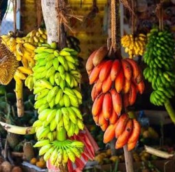 ஒவ்வொரு வாழைப்பழமும் ஒரு அதிசயம்! அதன் வகை மற்றும் மகத்துவம்!