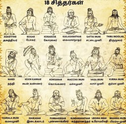 27 நட்சத்திரங்களுக்கும் உரிய சித்தர்கள்