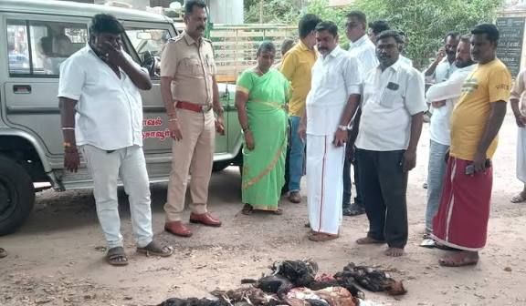 கும்பகோணம் அருகே நாய்கள் கடித்து 52 கோழிகள் உயிரிழப்பு