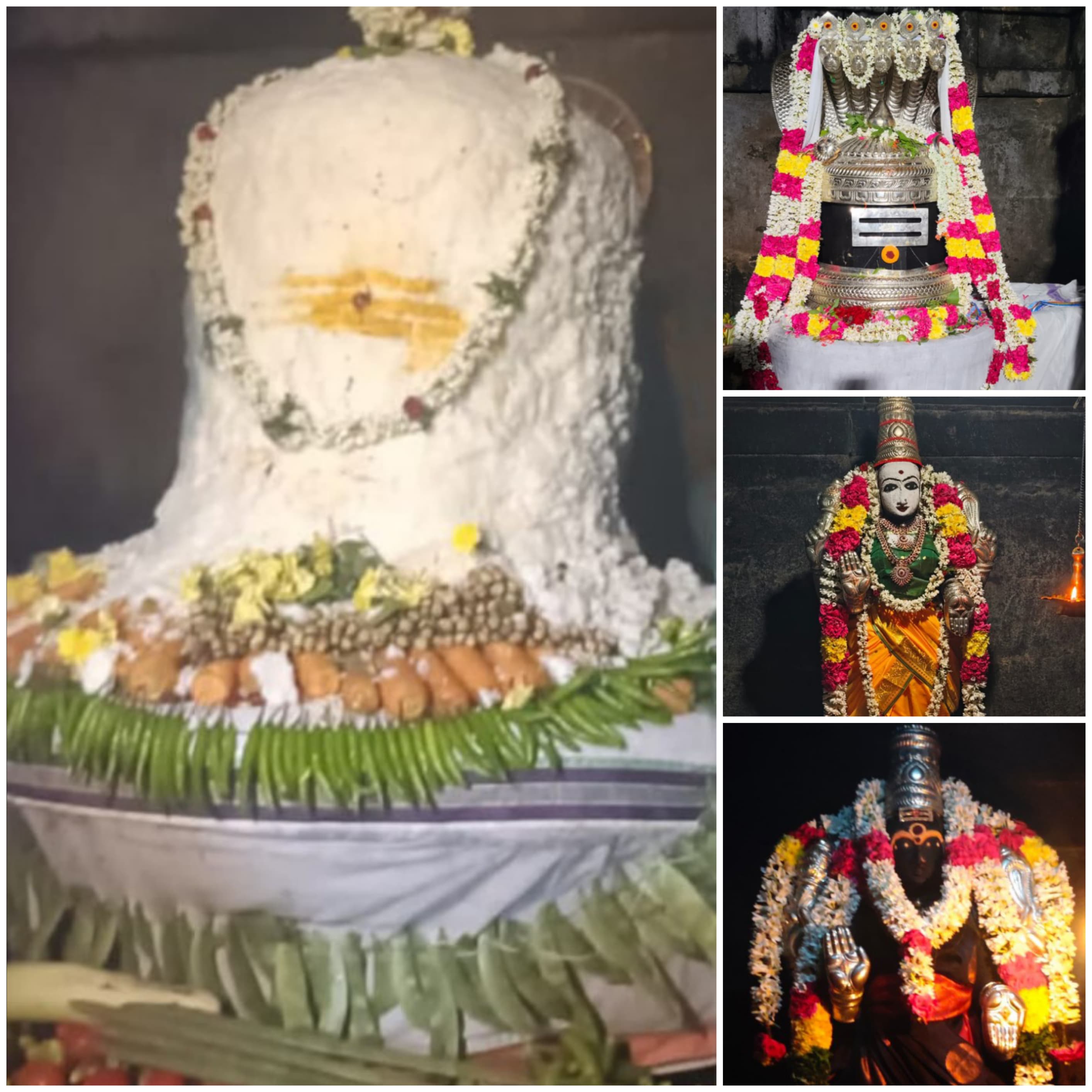 அன்னாபிஷேகம் சிறப்பு வழிபாடு.......