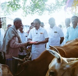 துரிஞ்சாபுரம் ஒன்றியம் கொளத்தூர் கிராமத்தில் கறவை மாடுகளுக்கு குடற்புழு நீக்க மருந்து