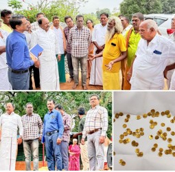 திருவண்ணாமலை மாவட்டத்தில் கோயிலில் தங்கப் புதையல் கிடைத்தது அறிந்து ஆய்வுப் பணி.....