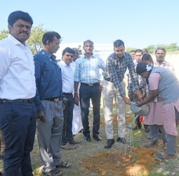 தூத்துக்குடி மாவட்டத்தில் உள்ள அனைத்து பள்ளிகளிலும் 50,000 பனை விதைகள் நடும் விழா