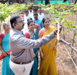 1 ஏக்கர் பரப்பளவில் அமைக்கப்பட்டுள்ள மாதிரி சோதனை பண்ணை