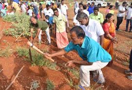 உடுமலை செங்குளத்தில் ஒரு லட்சம் பனை விதைகள் நடவு செய்யும் திட்டம் தொடக்கம்