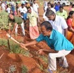 உடுமலை செங்குளத்தில் ஒரு லட்சம் பனை விதைகள் நடவு செய்யும் திட்டம் தொடக்கம்