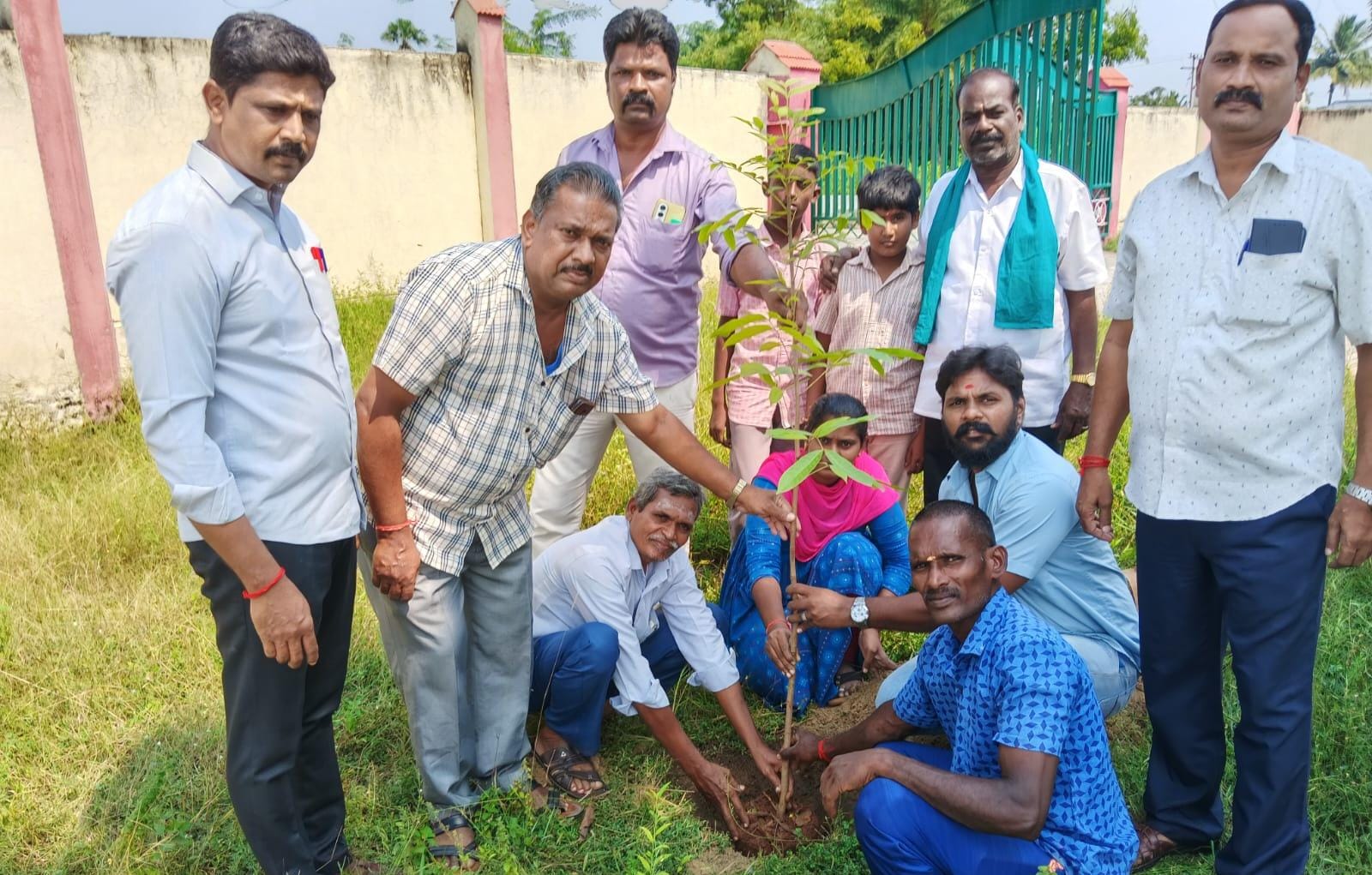 பள்ளி வளாகத்தில் மரக்கன்றுகள்