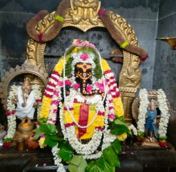 காட்பாடி கழிஞ்சூர் ஸ்ரீ செல்வ விநாயகர் ஆலயத்தில் சங்கடஹர சதுர்த்தி விழா!!