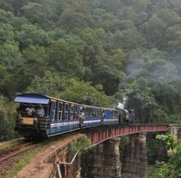 ஊட்டி மலை ரயில் குறித்த சுவாரஸ்யமான தகவல்களை இந்த செய்தியில் தொகுத்து வழங்கியுள்ளோம்.