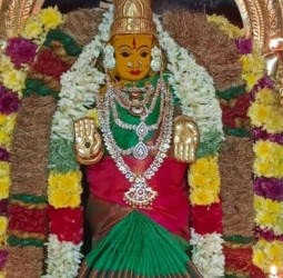 ஸ்ரீ வாசவி கன்யகா பரமேஸ்வரி அம்மன் மங்களகரமான வெள்ளிக்கிழமை நன்னாளில்
