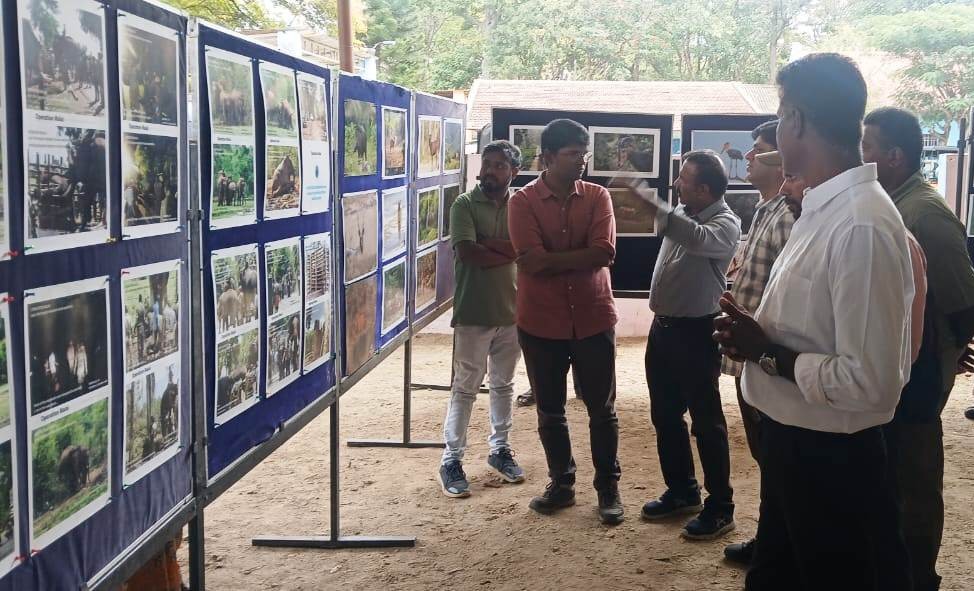 வன உயிரின வார விழா