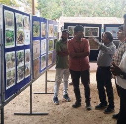 வன உயிரின வார விழா