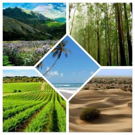 ஐந்திணையின்.. மாற்றங்கள்