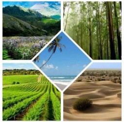 ஐந்திணையின்.. மாற்றங்கள்