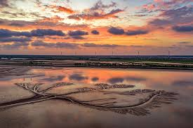 நகர்கிறது காட்சிகள்