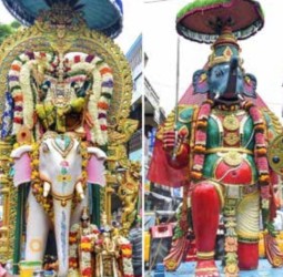 வெள்ளை யானை வாகனத்தில் சுப்பிரமணியர்