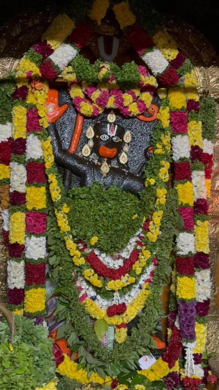 துளசி பூக்கள் அலங்காரத்துடன வீர ஆஞ்சநேயர்