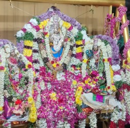 பாம்பன் சாமி மடாலயத்தில் சுப்ரமணியர் திருகல்யாண உற்சவம்