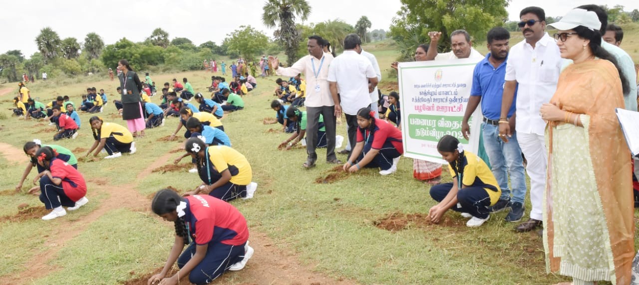 பனைமர விதைகள் நடும் நிகழ்ச்சி