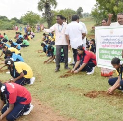 பனைமர விதைகள் நடும் நிகழ்ச்சி