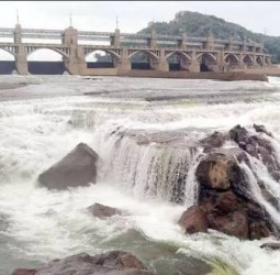 தமிழகத்தில் 90 அணைகளில் 196 டி.எம்.சி. தண்ணீர் சேமிப்பு: நீர்வளத்துறை அதிகாரிகள் தகவல்