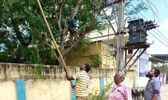 மழை முன்னெச்சரிக்கை நடவடிக்கை: சென்னையில் 64,270 மரக்கிளைகள் அகற்றம்