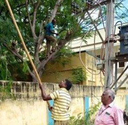 மழை முன்னெச்சரிக்கை நடவடிக்கை: சென்னையில் 64,270 மரக்கிளைகள் அகற்றம்