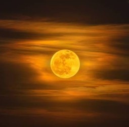 தங்க நிலாவே