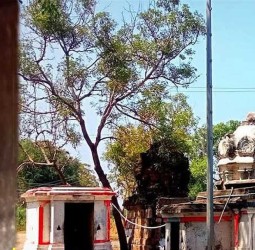 *🙏உலகிலேயே மிகச்சிறிய நுழைவாயில் கொண்ட அதிசய சிவன் கோயில்!