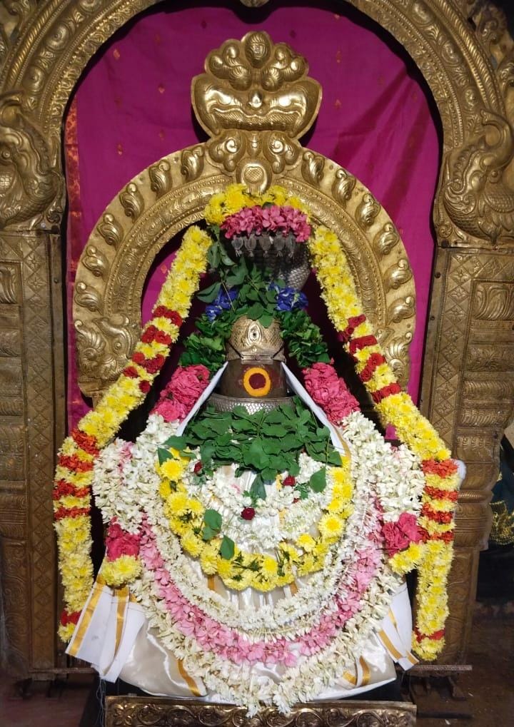 *வந்தவாசி பகுதியில் சனிப் பிரதோஷ வழிபாடு...!*