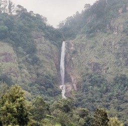 மலை பாதையோரம் அருவிகள் மற்றும் சிறுநீர் வீழ்ச்சிகள் உருவாகி தண்ணீர்