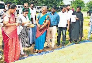 நெல் ஈரப்பதம்: திருவள்ளூர், திருவாரூரில் மத்திய குழுவினர் 2வது நாளாக ஆய்வு