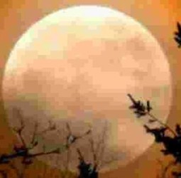 நிலவு வந்த நேரத்திலே